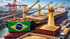 How to send cargo to Brazil (commercial and passenger)